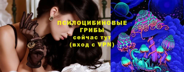 стафф Алзамай