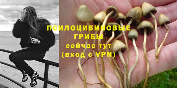 а пвп мука Алексин