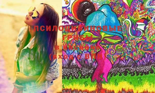 стафф Алзамай